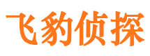 宁陵外遇调查取证